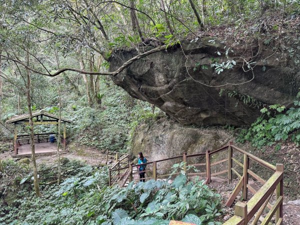 馬武督森林 外鳥嘴山 綠光小學2386252