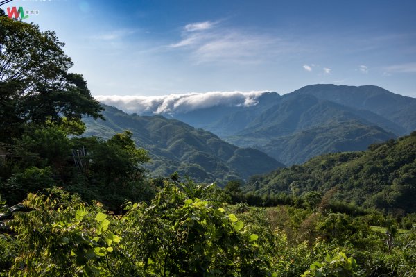 WL 愛旅行【塔曼山】593395