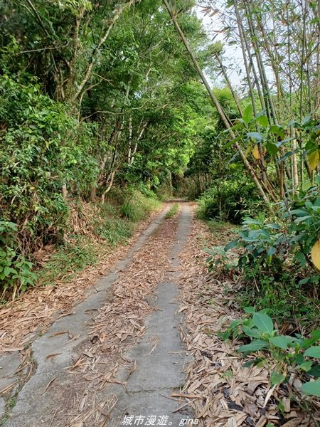 【高雄甲仙】沒有朵朵白雲。 小百岳集起來。 編號69小百岳-白雲山步道1713225