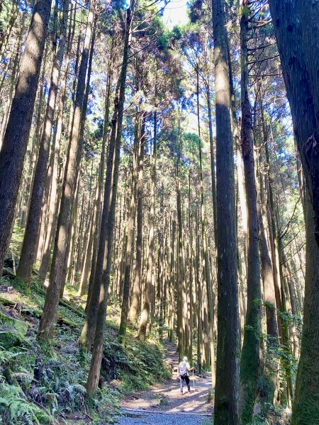 橫嶺山步道泡茶趣    2024/7/42547135