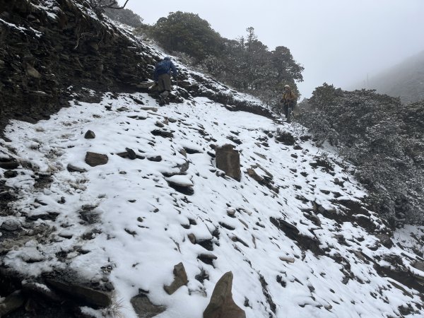 八大秀雪攀初體驗，銀白色中央山脈2413096