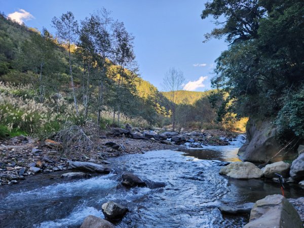 【中級山縱走】羅馬縱走，走進神木的夢幻童話森林世界2943266