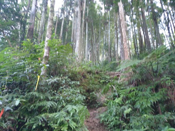 志繼山、東眼山、拉卡山1561237