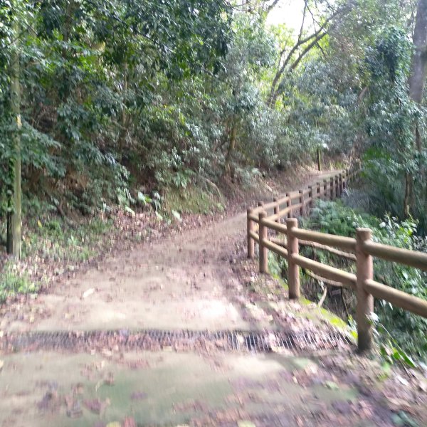 山塘背登山步道-竹林秘境1606074