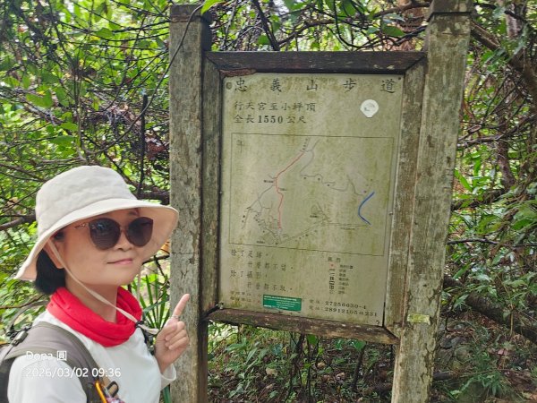 20260302忠義山.小坪頂山.貴子坑山大O走3009793