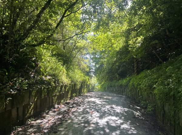 2025_0621 霞喀羅國家步道(養老端)2819852