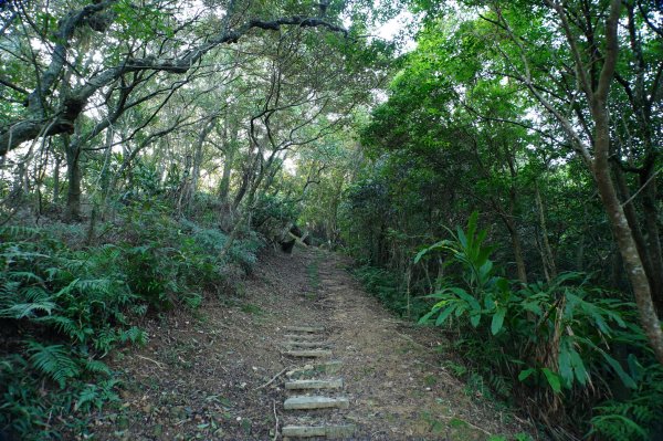 新北 貢寮 大石壁坑山、五酒桶山、龍崗山2980850