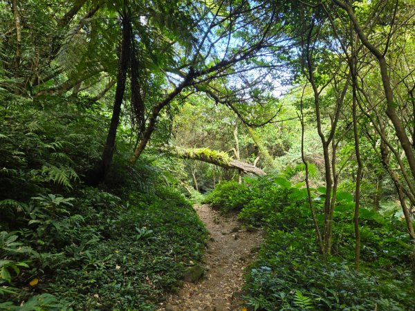 桃園石門山（小百岳）2910073