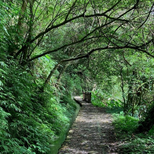 烏來 福山 大羅蘭溪古圳輕鬆步道785018