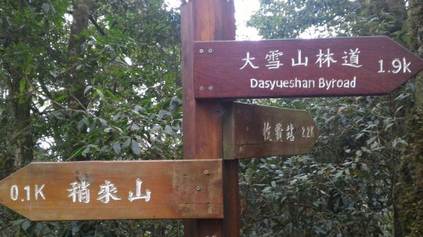 鳶嘴山、稍來山縱走107176