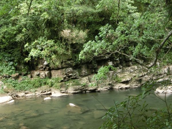 北勢溪古道．黑龍潭．灣潭古道145432