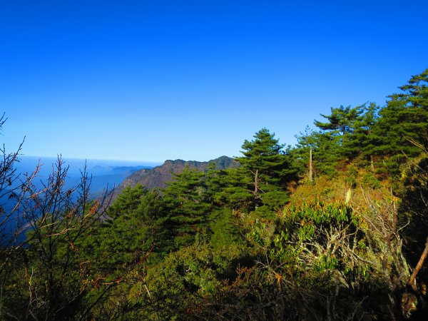 玉山群峰的前哨站-玉山前峰2065008