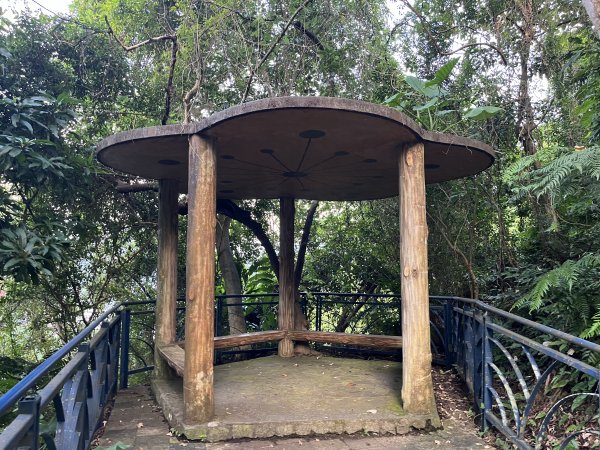 [微笑山線_第六段] 2025_0807 二格山系_和美山螢火蟲段2854606