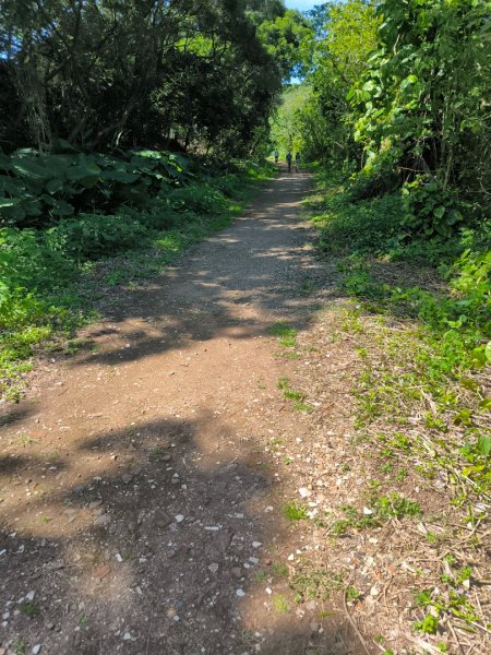 台北大縱走第一段