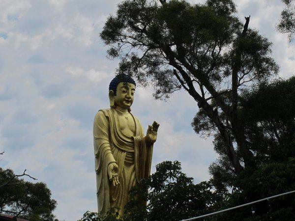 南觀音山步道955749