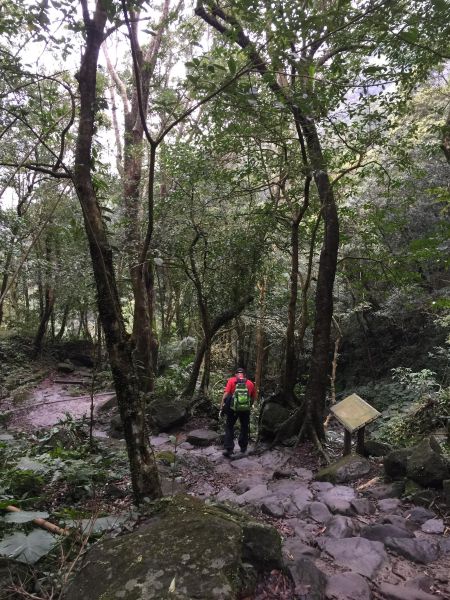 馬武督外鳥嘴山105609