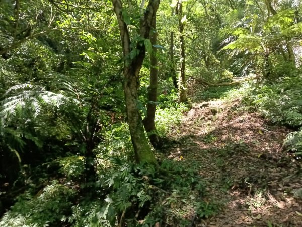 平溪區平湖尖+南山坪山+司公碗帽山+和尚尖O型2810704