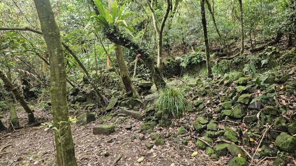 20260324福卯古道北段-萊萊越嶺古道-萊萊山腰古厝群3026835