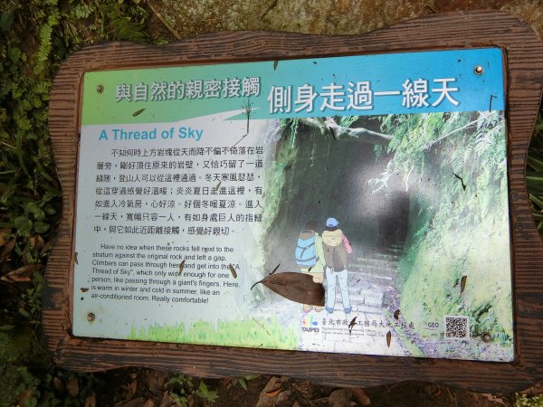 城市裡就能感受山林綠意~象山親山步道778679