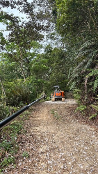 雙石+++牛背2776489