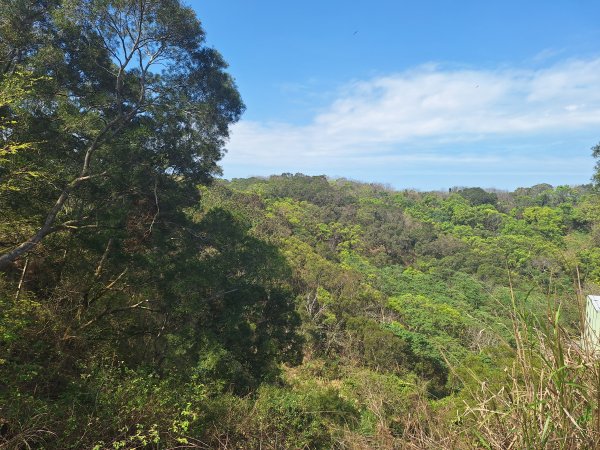 造橋口山古道202503122734394