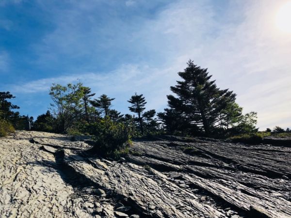 2018/08/12 合歡西峰386928