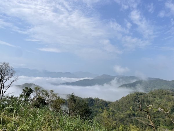 小格頭越嶺坪林2738357