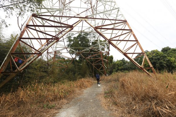 七塊山 トワコム山 遛狗路線2023231