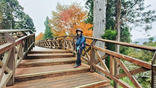 神阿縱走~台灣難抵極~大塔山2971528