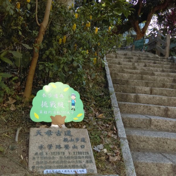 【臺北親山拓印趣】天母古道、中山北路853838