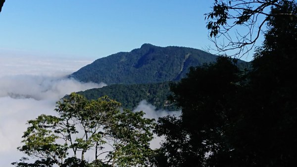 盡在不言中 大窩山的不可思議  超難忘的經驗  2022 D1204 大窩山 南庄線