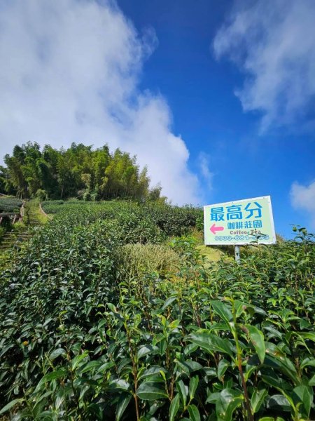 20260921 樟湖生態國小登後棟仔山挑筍古道上大、二尖山3121226