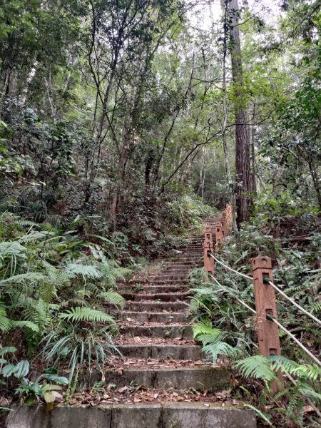 【新竹縣尖石鄉】秀巒軍艦岩步道2833658