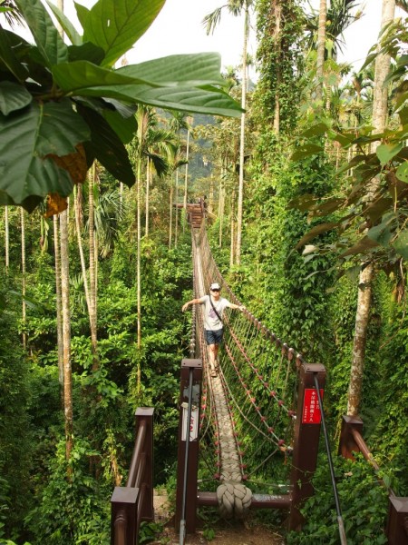 華山咖啡園區254703
