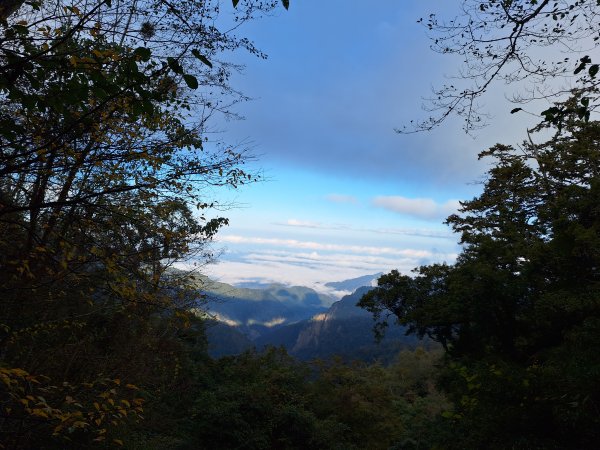 大雪山森林遊樂區之烏石坑山+山椒山(210林道)202401102400528