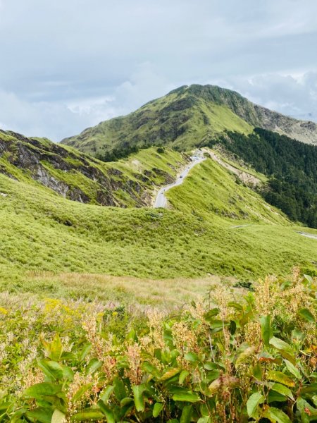 百岳#36合歡山主峰1871554