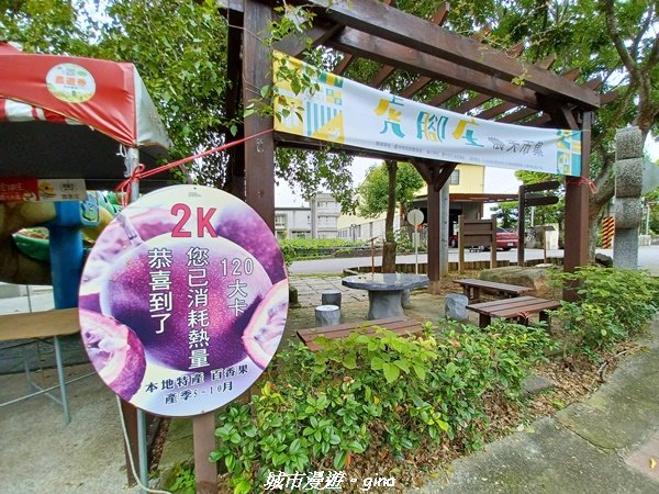 【台中外埔】沿著水圳散散步。 外埔水流東桐花步道1731450
