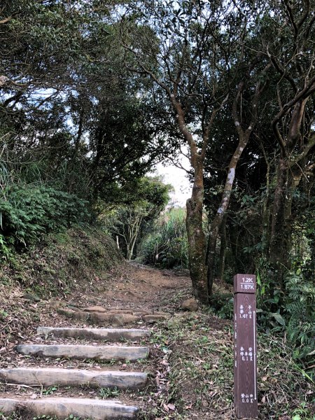 台灣小百岳No.011姜子寮山908427