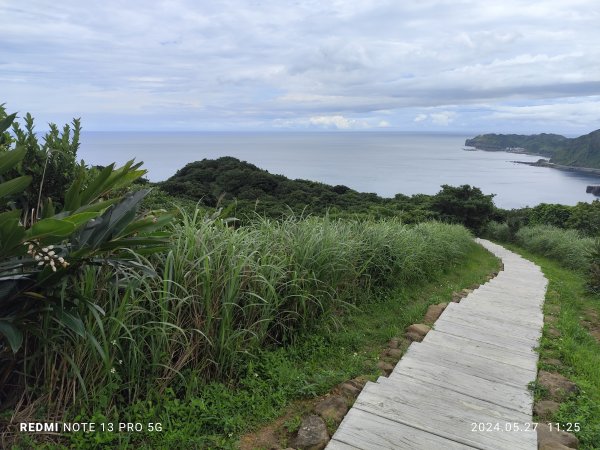 南子吝登山步道【踢不爛大地遊戲】2513438