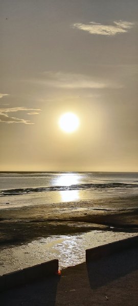 台中．麗水漁港自行車步道202509212900050