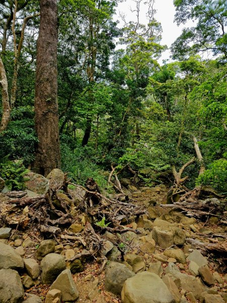 里龍山-小百岳#69-屏東縣獅子鄉2750526
