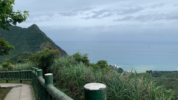 新北｜瑞芳 無耳茶壺山步道1488117