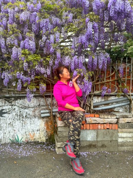 月眉山、海鼠山、生毛樹山、野薑花步道、進學古道3020770