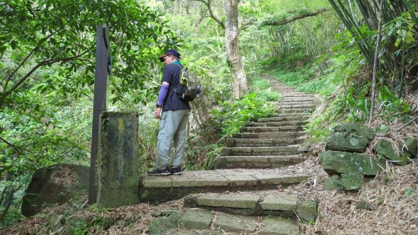 112.04.29走遍陽明山尋寶任務之坪頂古圳步道2137382