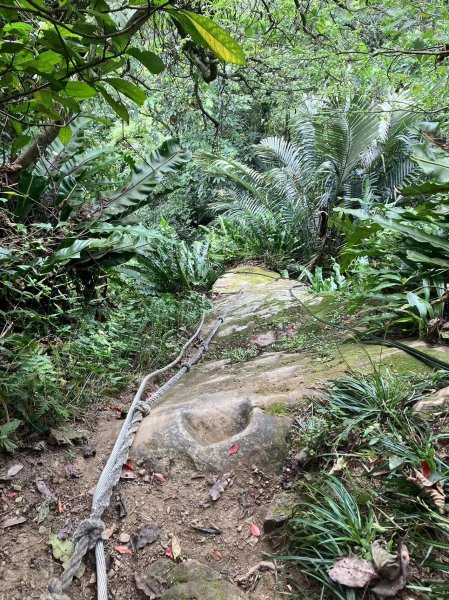 南勢角山烘爐地攀岩2104873