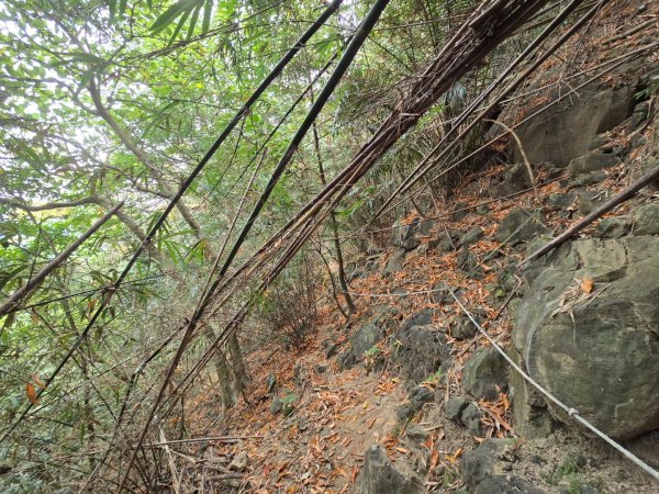 2026-02-01 靈山古道2991720