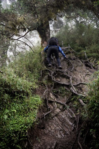 帝王之座-南湖圈谷｜審馬陣山＋南湖北山＋雲稜/南湖圈谷山屋2884841