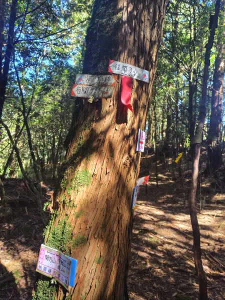 守關山南峰 守關山 守城大山2919155