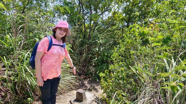 (姨婆趴趴走)第四十三集:攀登連走奇岩山、軍艦岩、丹鳳山2499567