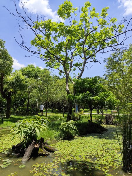 大安森林公園、港墘公園、文德三號公園【走路趣尋寶】【臺北健走趣】2549684